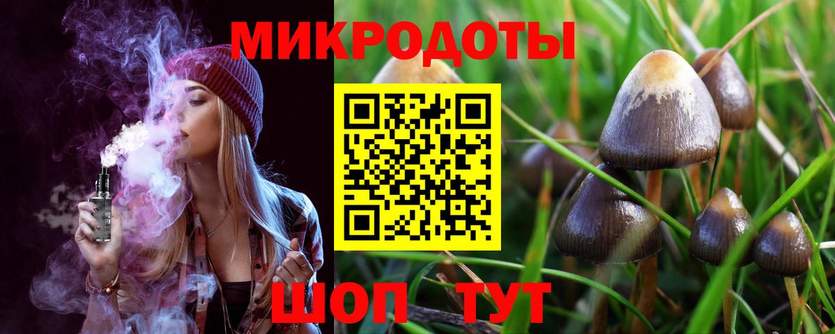 Красноярск  Псилоцибиновые грибы мицелий  Псилоцибиновые грибы прущие грибы  Вход с VPN 